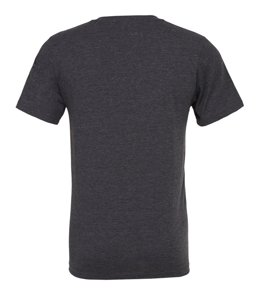 Canvas Unisex Jersey V Neck T-Shirt